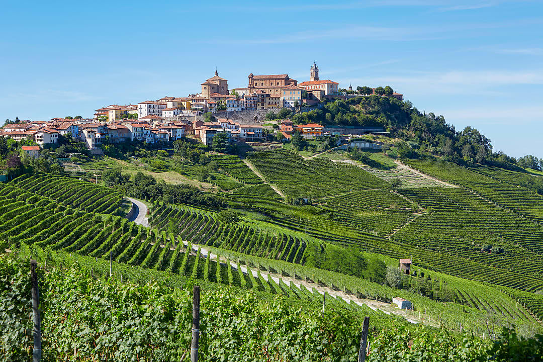 La Morra surrounded by vineyards