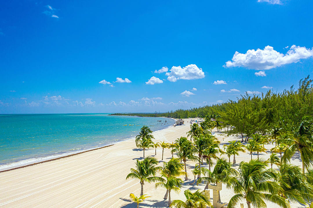 Beach with palm trees on Cozumel Island, Mexico