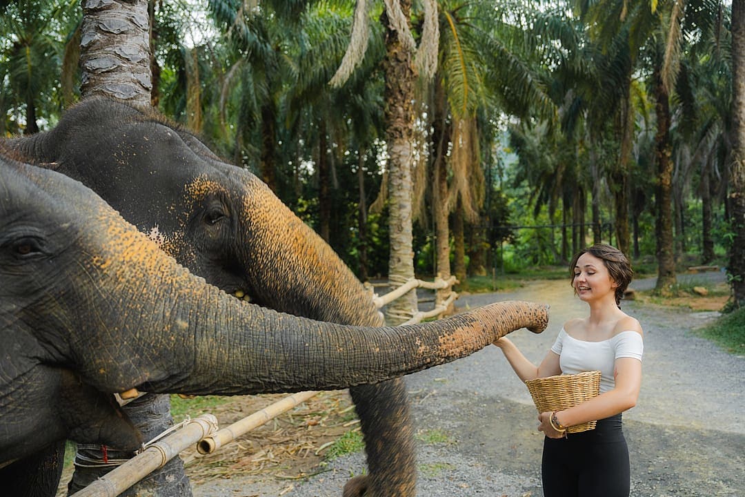 Woman feeding elephant at sanctuary surrounded by lush Thai forest.