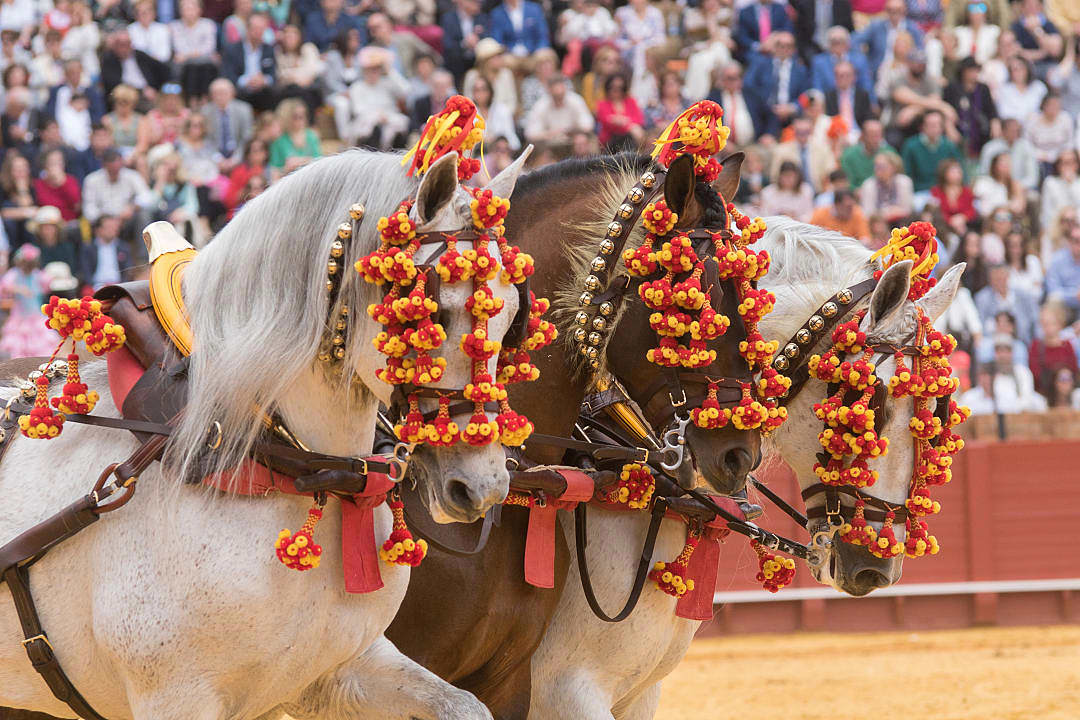 Festival in Seville, Spain.