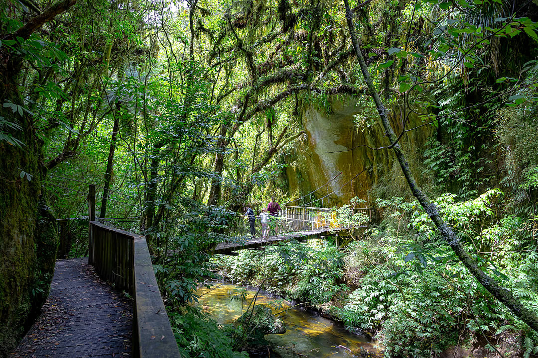 Family at Mangapohue Natural Bridge  near Waitomo, New Zealand
