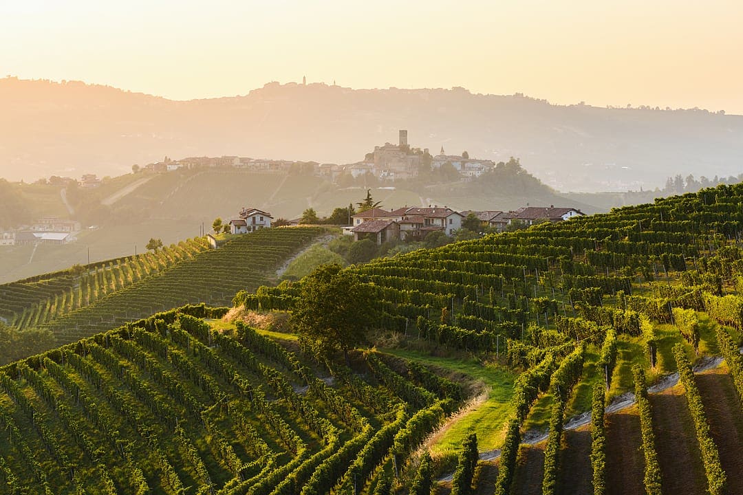 Langhe wine region, Piedmont, Italy.