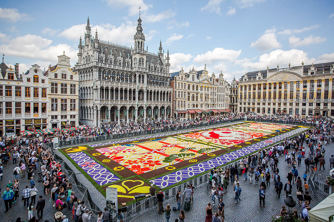 Stunning Brussels Flower Carpet in Belgium displayed at Grand Place, surrounded by historic architecture