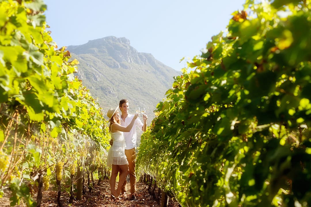 Couple toasting wine at a vineyard in Stellenboch, South Africa