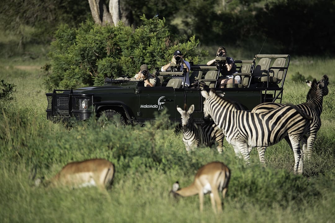 Photo vehicle with photographers on safari game drive photographing zebras and antelope.