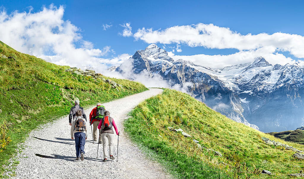Hiking in the Swiss Alps