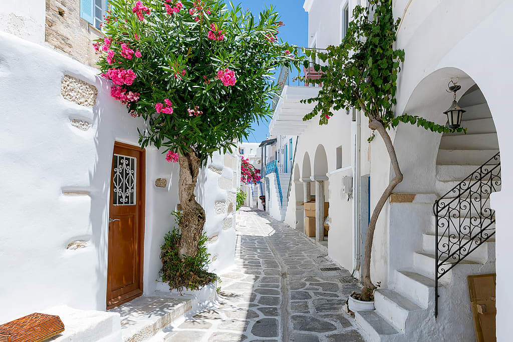 Traditional white alley with colorful oleander flowers and colored doors found on the Cyclades islands in Greece