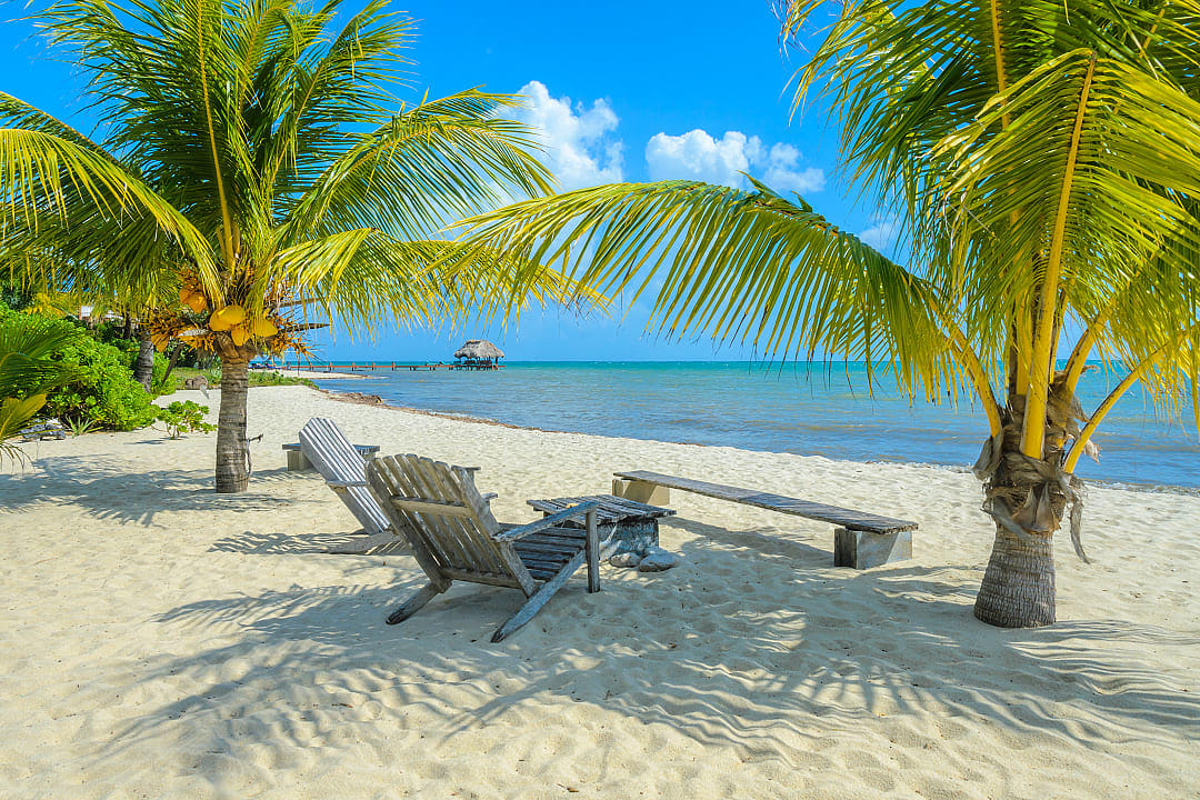 Lounge chairs and palm trees on the sandy beach in Placencia, Belize