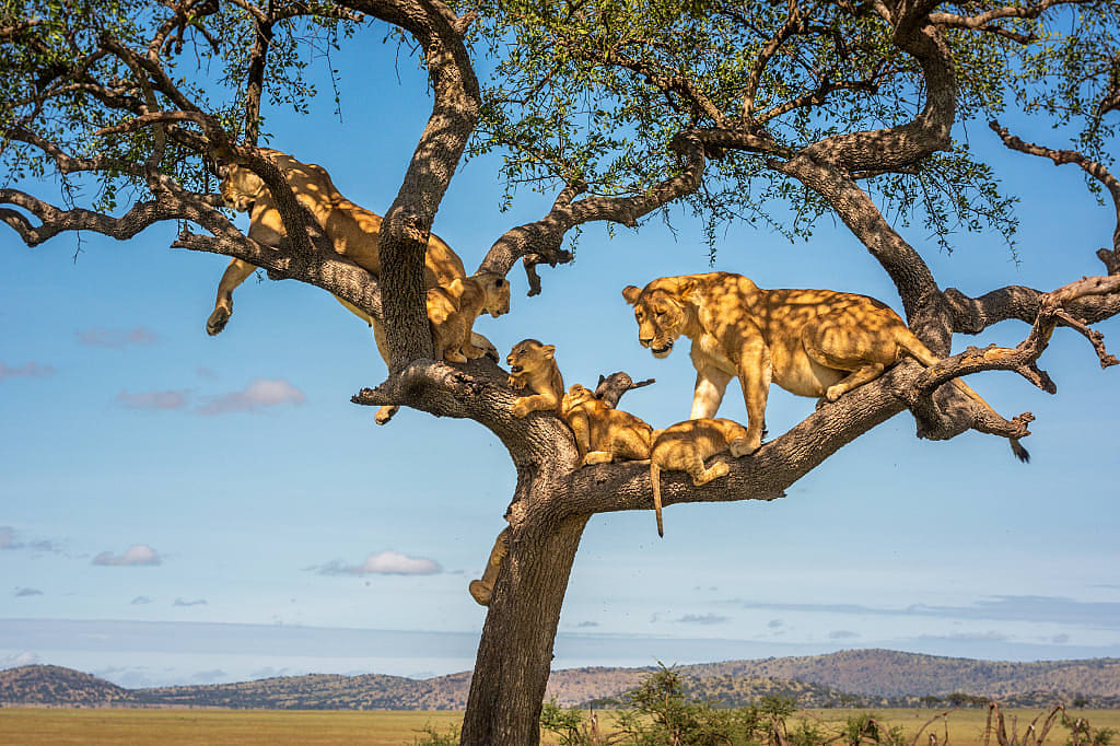 Grumeti Game Reserve, Serengeti, Tanzania