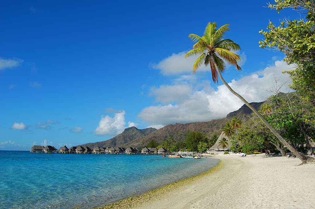 Beautiful beach in Moorea