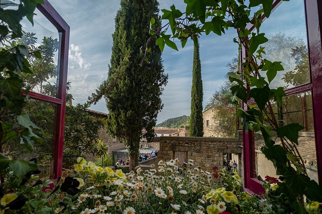 Charming garden view through a window frame with flowers and tall trees under a bright blue sky