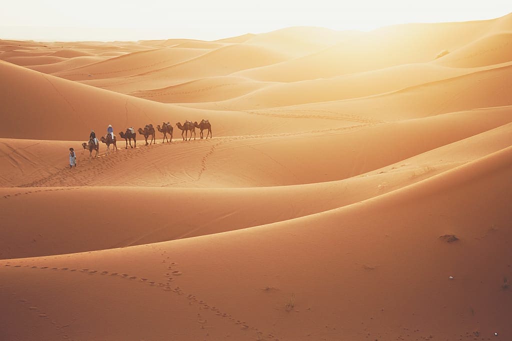 Camel caravan across the Sahara in Morocco