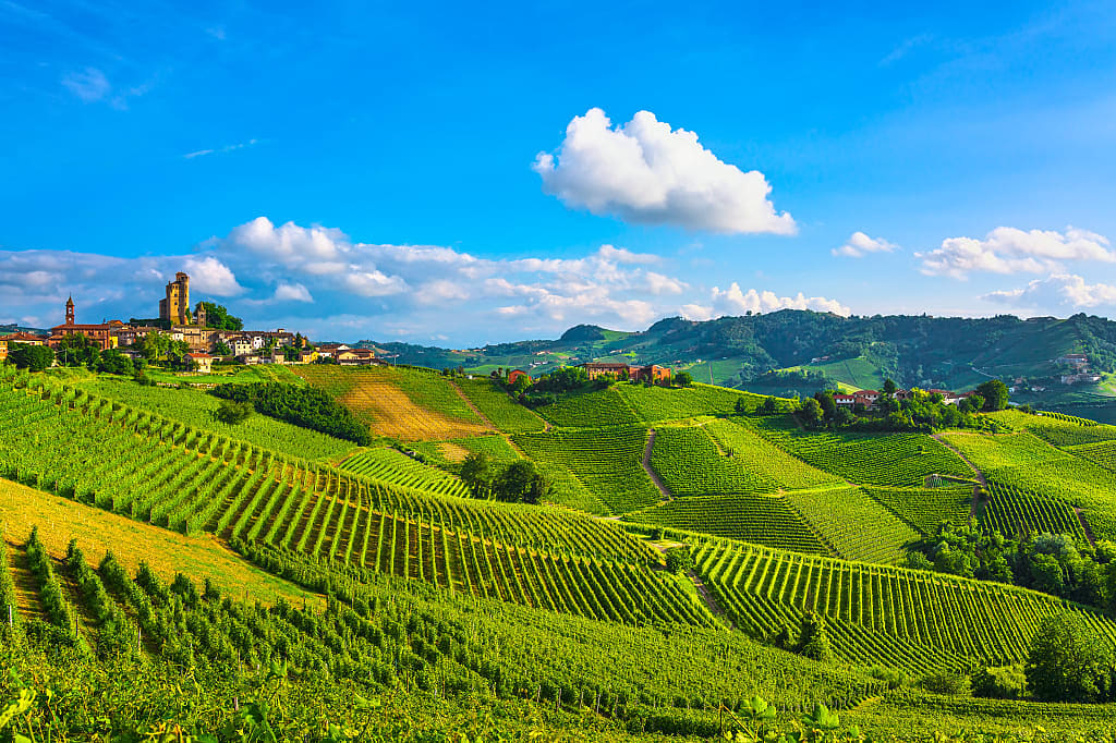 Serralunga d'Alba and surrounding vineyards in the Piedmont region in Italy