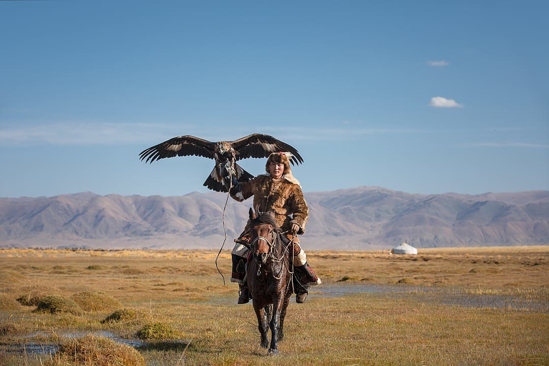Eagle hunter in Ulgii, Mongolia.  
