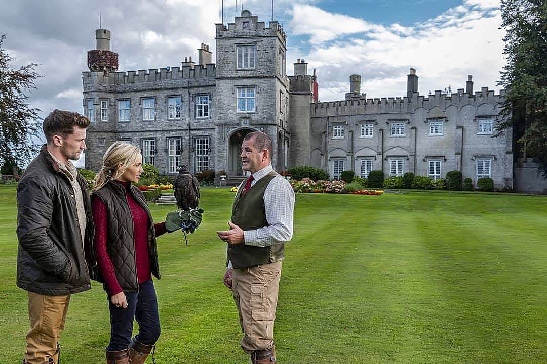 Falconry at Luttrellstown Castle in Dublin, Ireland