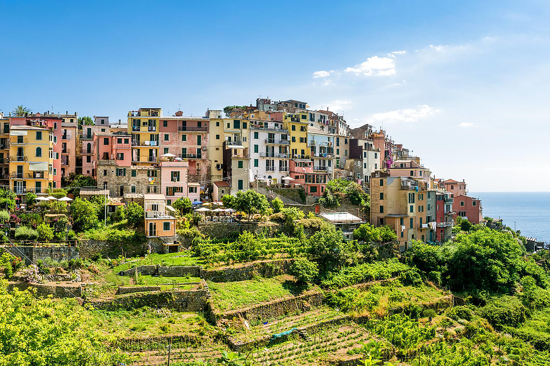Vineyards and hilltop village of Corniglia in the Cinque Terre, Italy