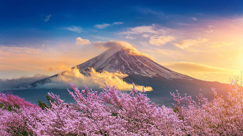 Mount Fuji and cherry blossoms in spring