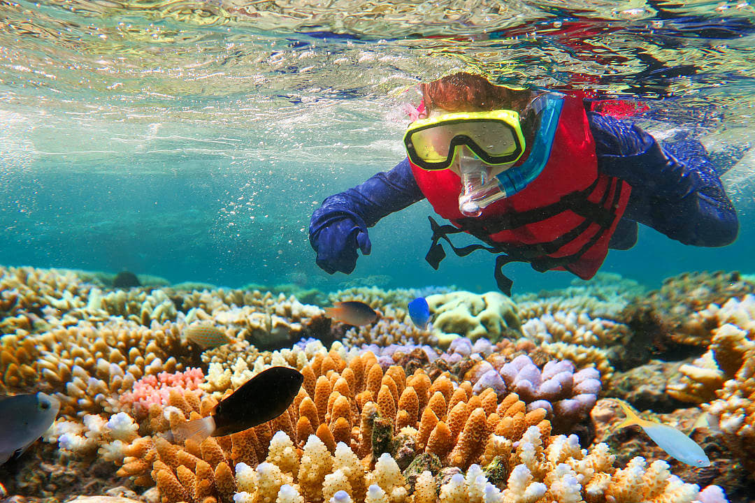 Snorkeling the Great Barrier Reef in Australia