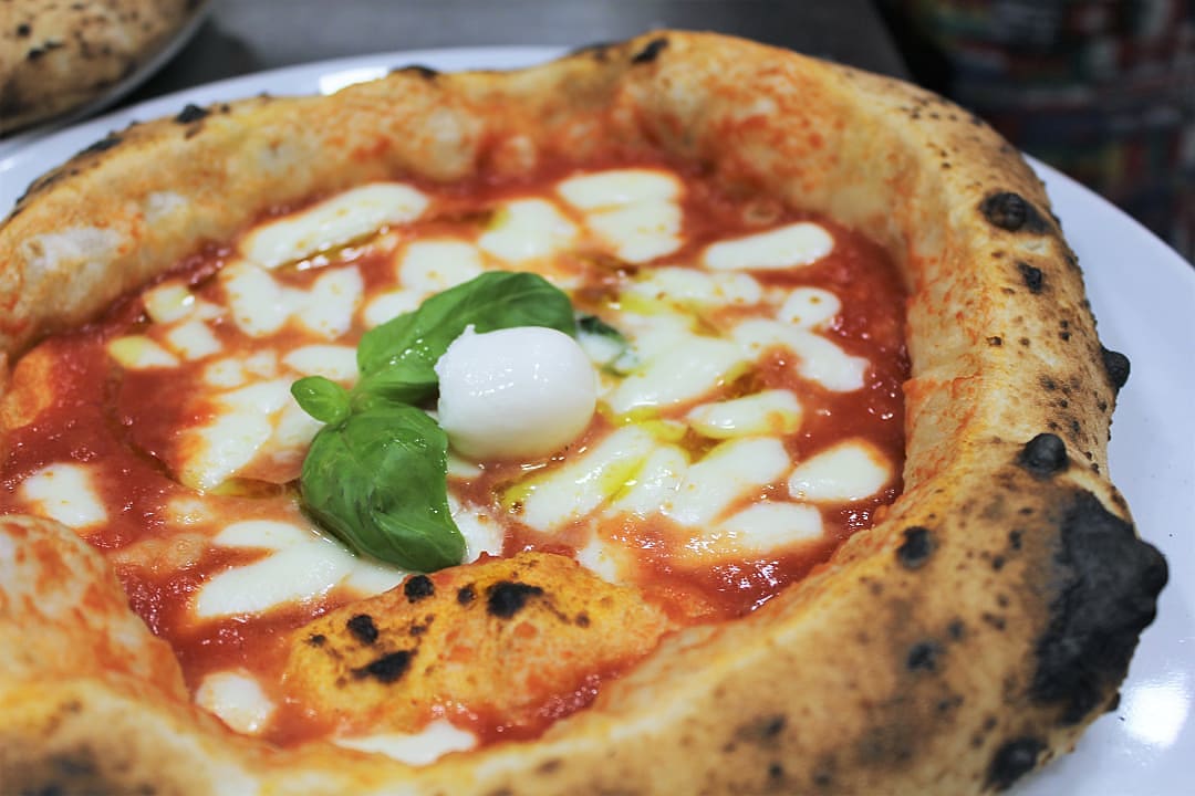 Close-up of Neapolitan Margherita pizza with fresh basil, mozzarella, and tomato sauce on a white plate
