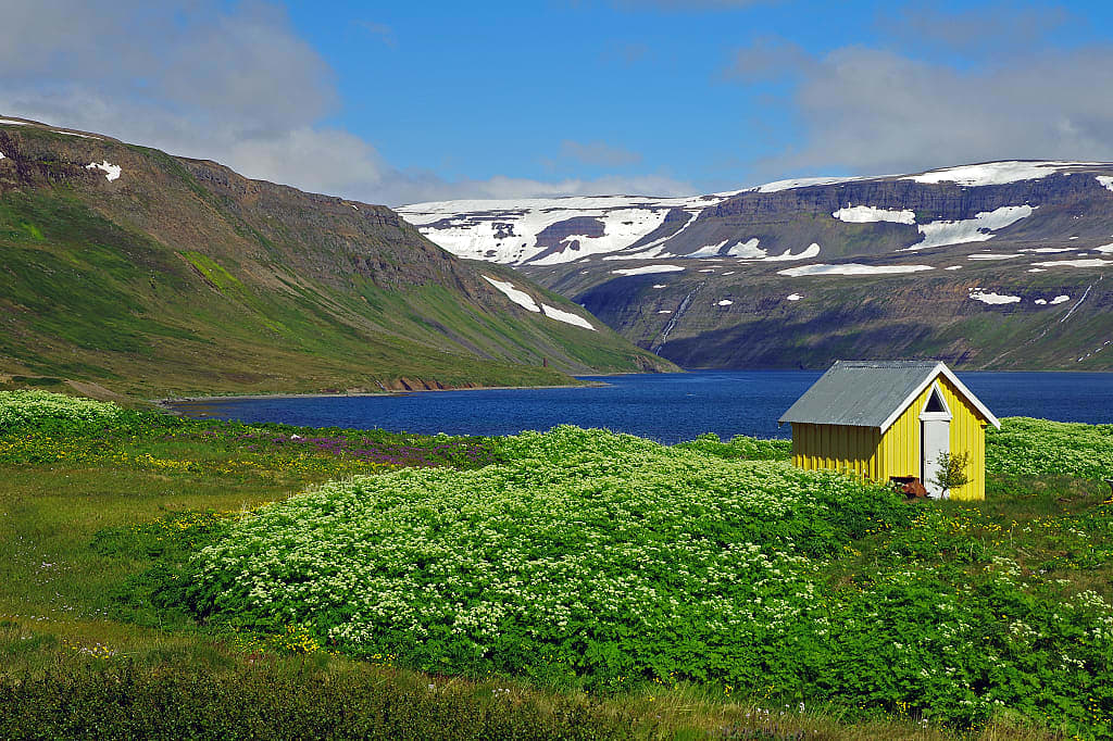Hornstrandir Nature Reserve in the Westfjords of Iceland