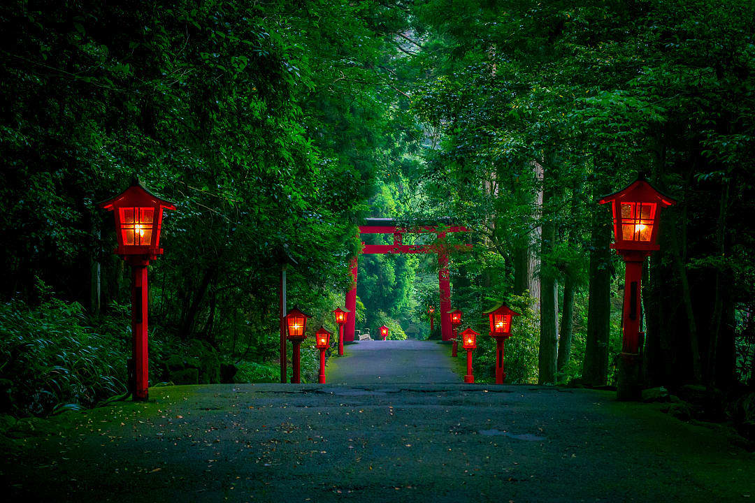 Path to the Hakone shrine in a cedar forest, lit up at night with many red lanterns and a great red tori gat