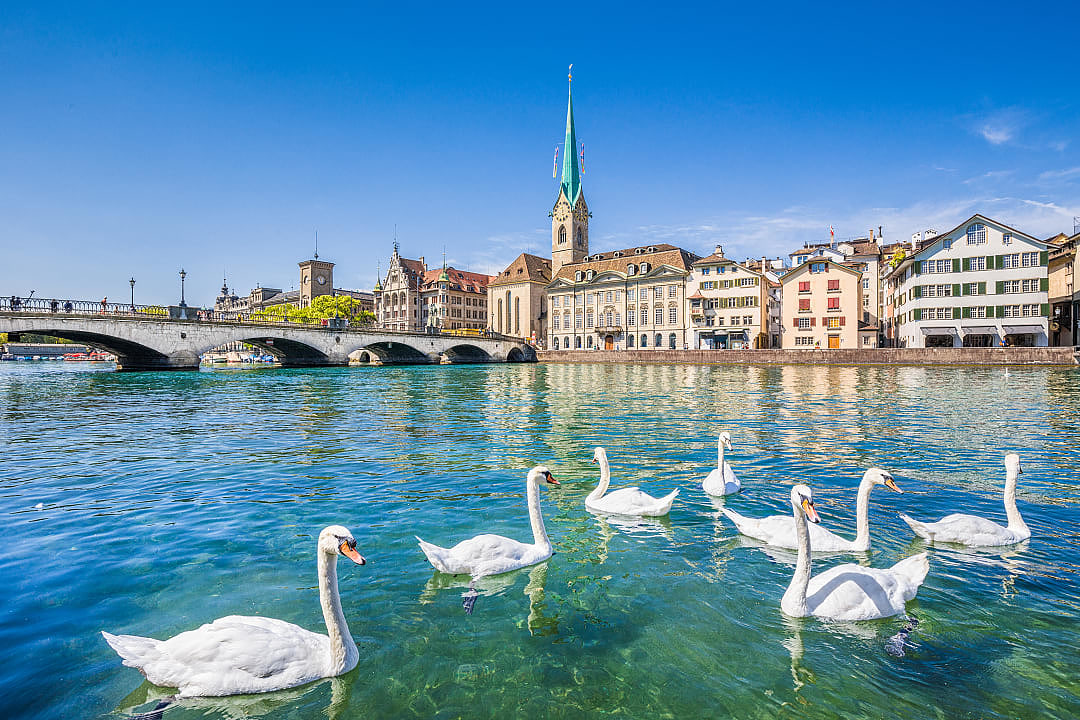 View of the historic city center of Zurich with famous Fraumunster Church and swans on river Limmat