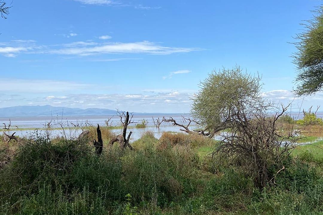 Shoreline of Lake Manyara, Tanzania