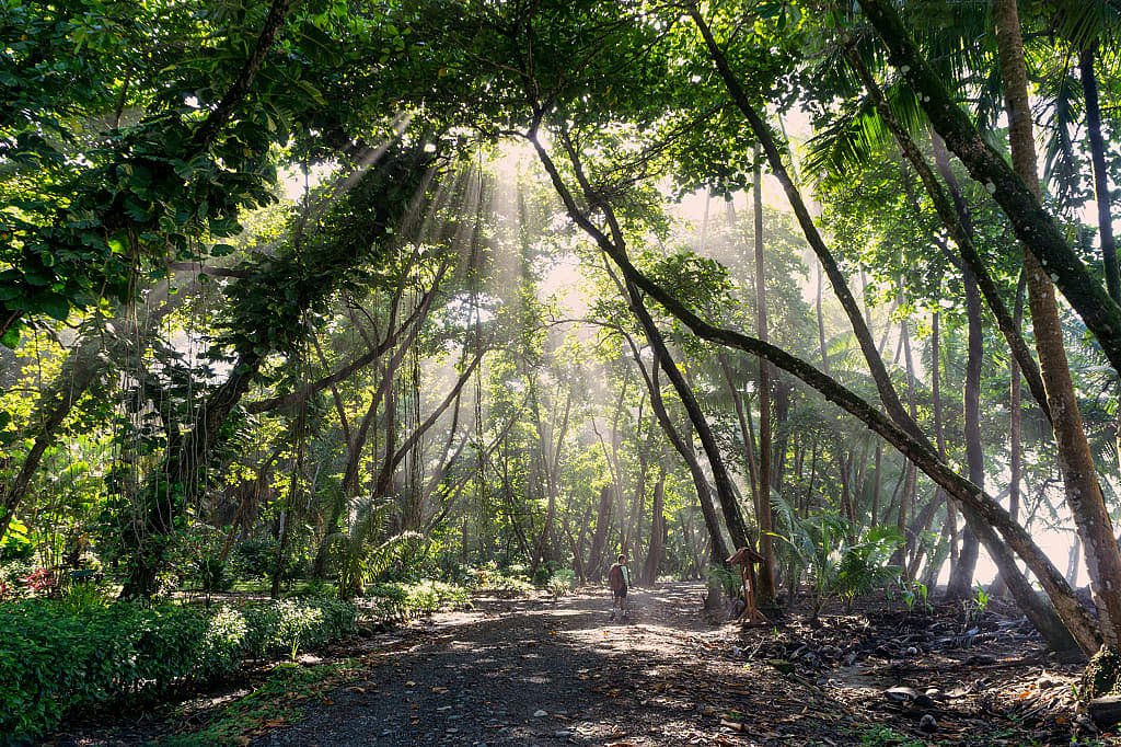 Hiking in Corcovado National on the Osa Peninsula 