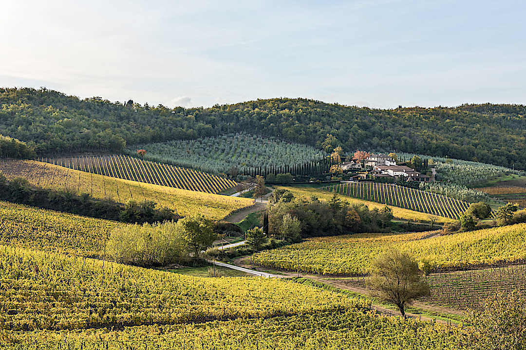 Chianti Hills, Italy.