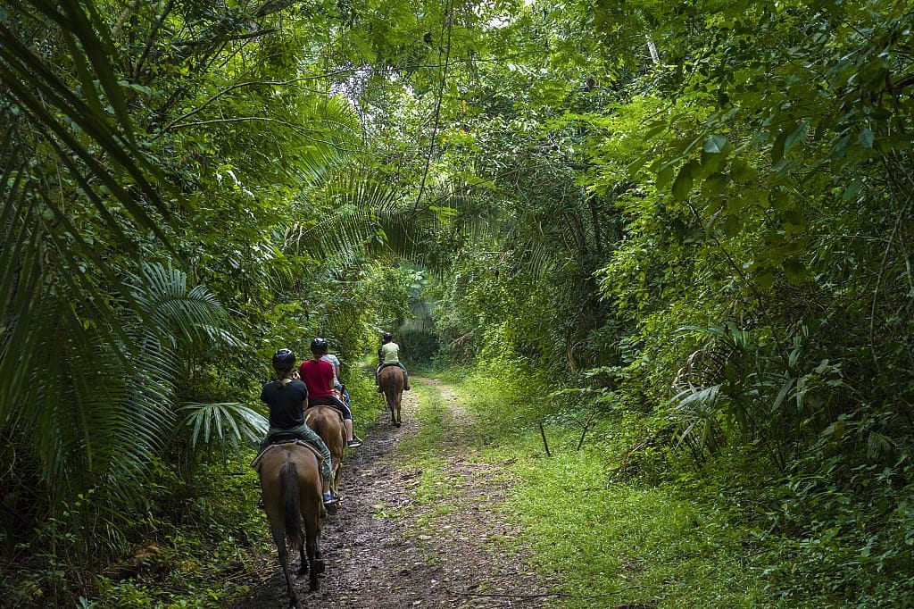 Horseback Riding in Chaa Creek Nature Reserve, San Ignacio, Belize