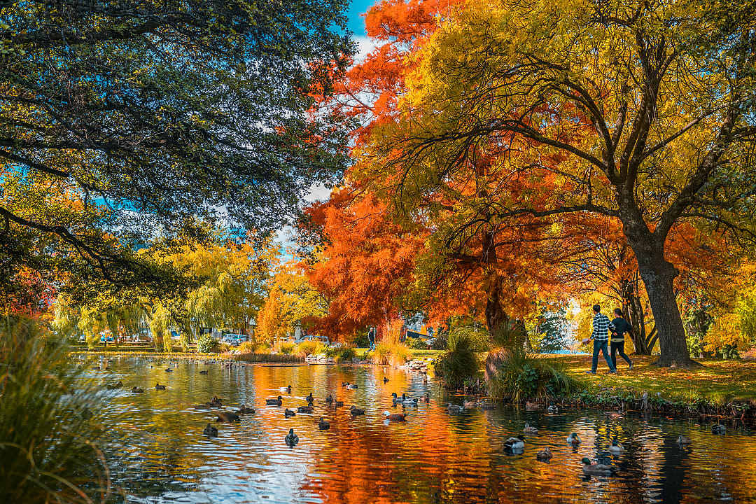 Queenstown, New Zealand, in fall.