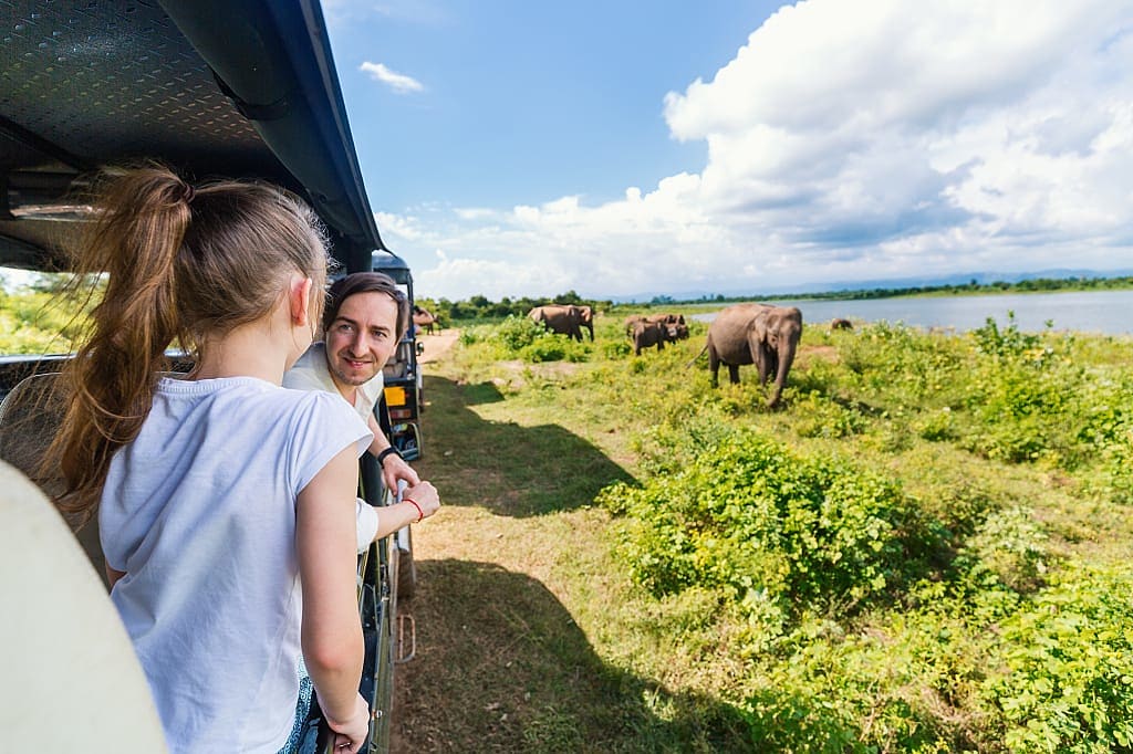 Family watching elephants, Udawalawe National Park, India