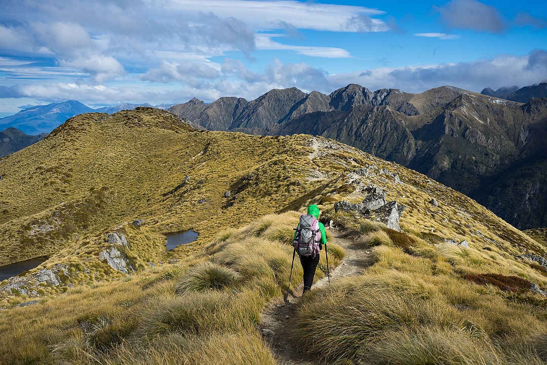 The Kepler Track in Fiordland National Park, New Zealand, starts and ends near Te Anau.