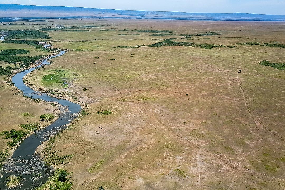 Hot air balloon floats above vast savanna with scattered acacia trees.