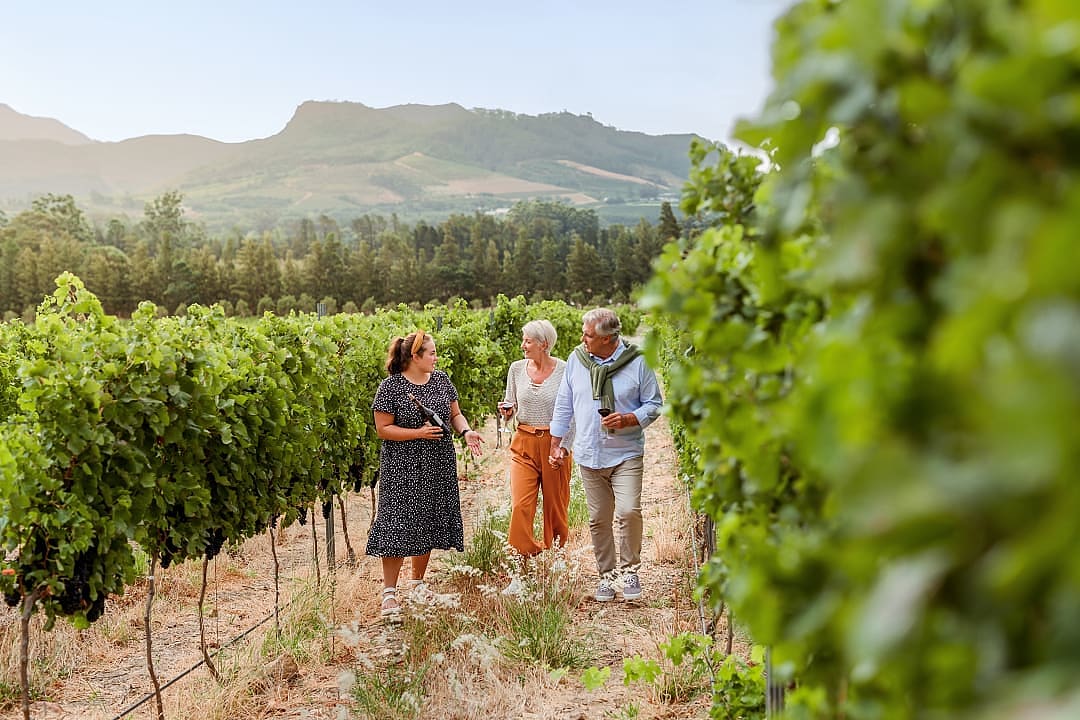 Senior couple touring vineyards in South Africa