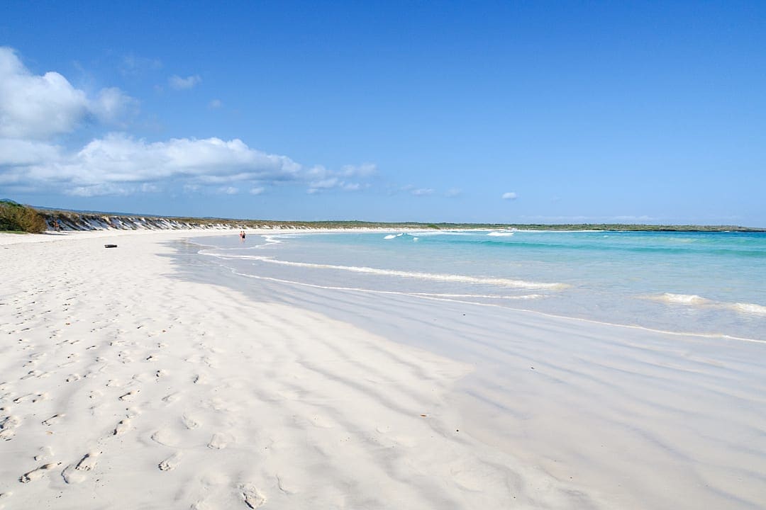 White sand beach and clear water at Tortuga Bay in Ecuador