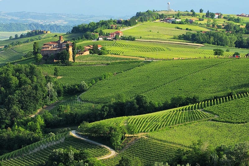 Vineyards around Castello della Volta on the hills outside Barolo in the Langhe wine region of Piedmont, Italy.