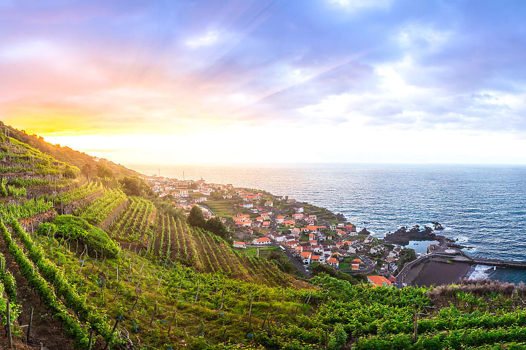Coastal vineyards on Madiera island, Portugal