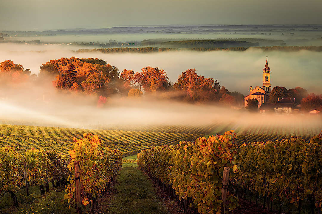 A misty morning in Bordeaux during the fall season