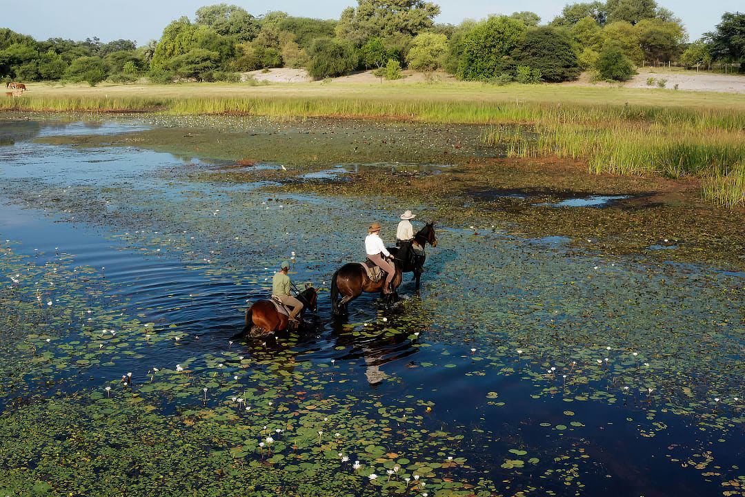 Horseback safari in the Okavango Delta
