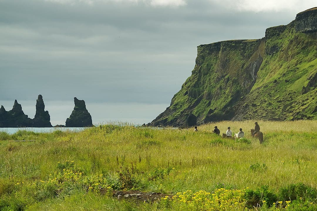 Personalized horseback riding lessons in Iceland.
