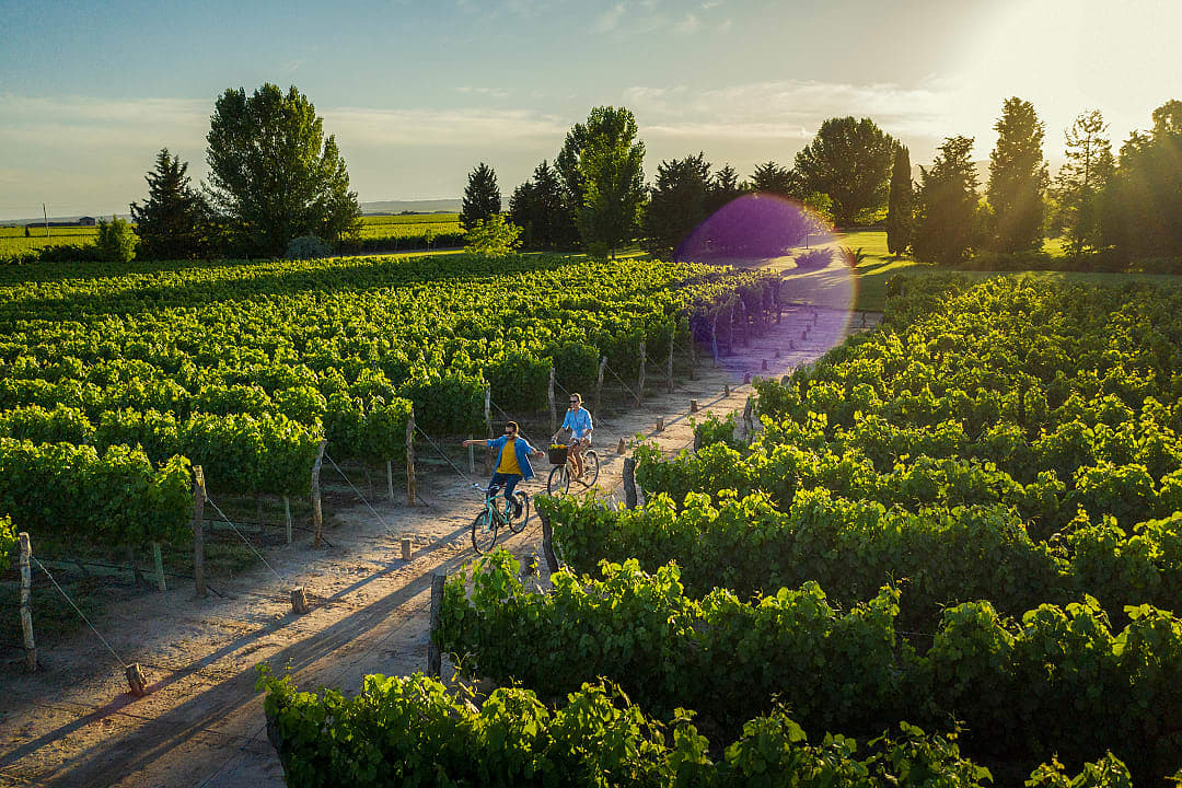Couple biking through vineyards in Mendoza, Argentina