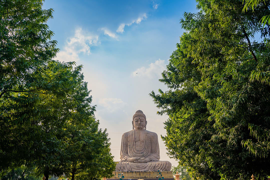 Massive seated Buddha statue surrounded by trees under peaceful sky.