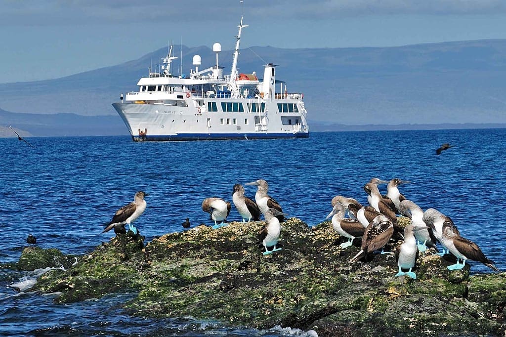 Yacht Isabella II Yacht Cruise in the Galapagos Islands