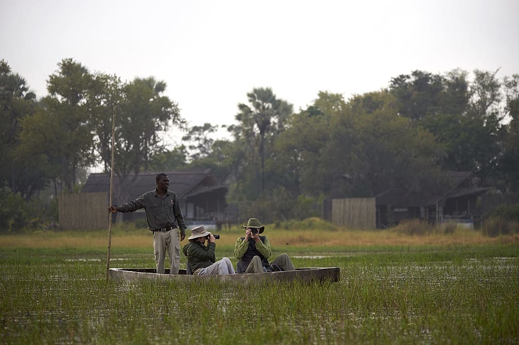 Guided Mokoro safari in Botswana