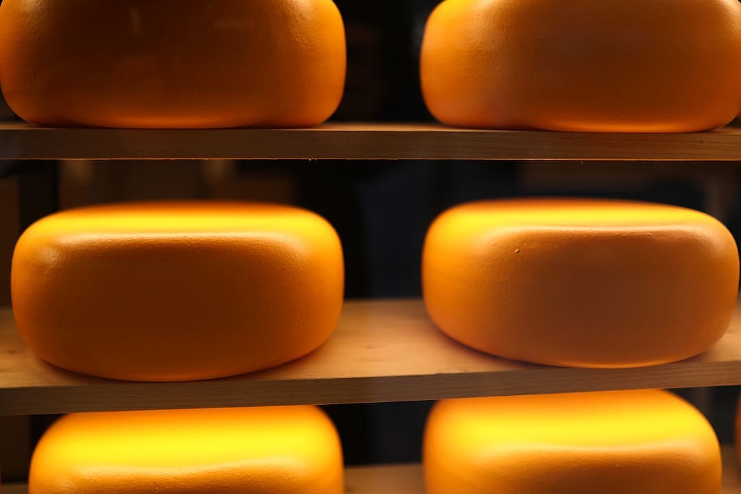 Cheese wheels aging on shelves, Ireland.