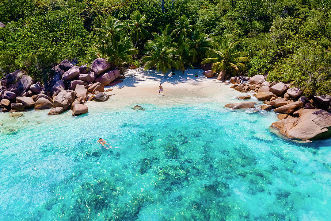 Snorkeler exploring crystal-clear turquoise waters near a secluded beach with granite boulders and palm trees on Praslin Island, Seychelles