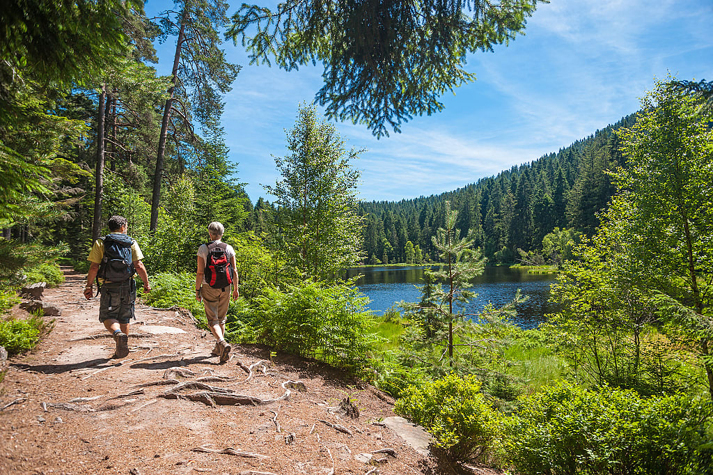 Two hikers on scenic trail in the northern Black Forest of Germany