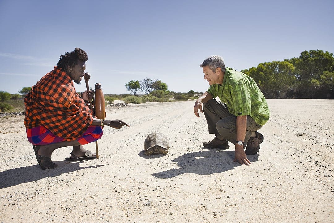 A local Masaai guide and a traveler pause on a dusty road to quietly observe a tortoise inching across their path.