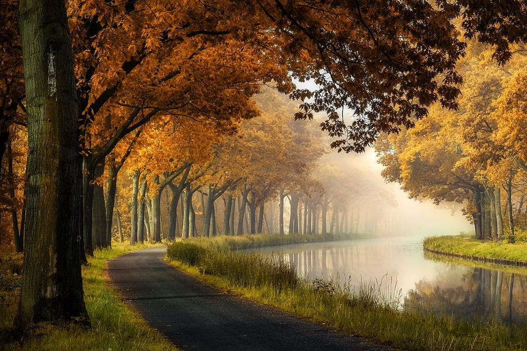 Vlaanderen during fall in Belgium. 